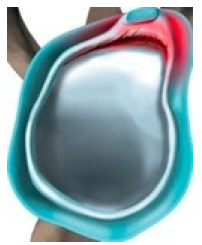 Screen Shot 2015-10-08 at 12.23.25 PM